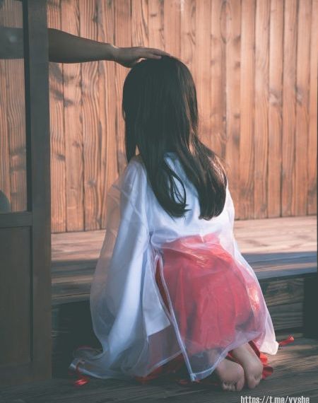 围屋里的桃花电视剧全集在线观看_成人直接看